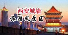小穴15P中国陕西-西安城墙旅游风景区